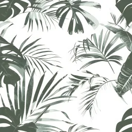 Jungle 481